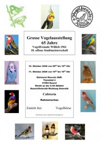 Bild zur Anzeige