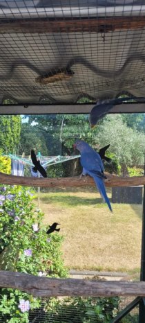 Bild zur Anzeige