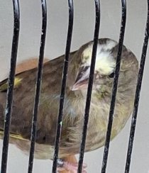 Bild zur Anzeige
