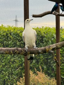 Bild zur Anzeige