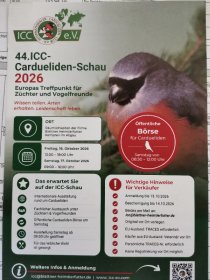 Bild zur Anzeige