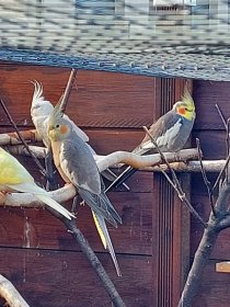 Bild zur Anzeige