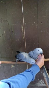 Bild zur Anzeige