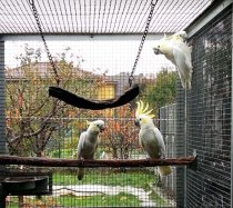 Bild zur Anzeige