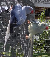 Bild zur Anzeige