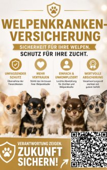Bild zur Anzeige