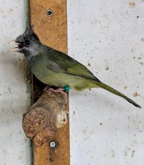 Bild zur Anzeige