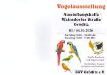 Bild zur Anzeige