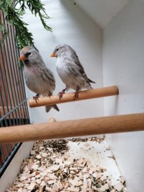 Bild zur Anzeige