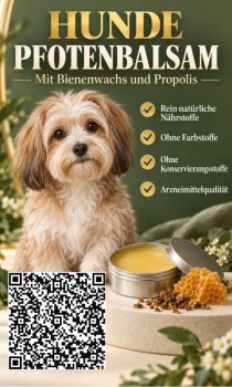 Bild zur Anzeige