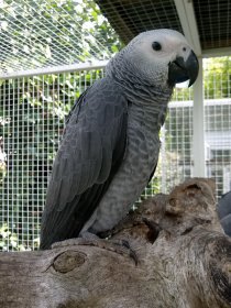Bild zur Anzeige