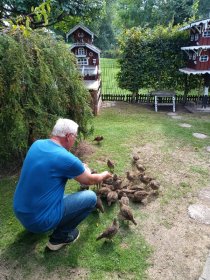 Bild zur Anzeige