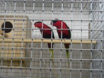 Bild zur Anzeige