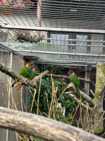 Bild zur Anzeige