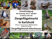 Bild zur Anzeige