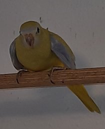 Bild zur Anzeige