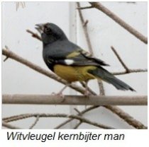 Bild zur Anzeige