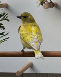 Bild zur Anzeige