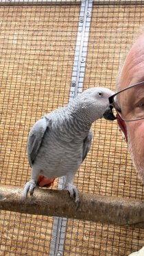 Bild zur Anzeige
