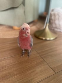Bild zur Anzeige