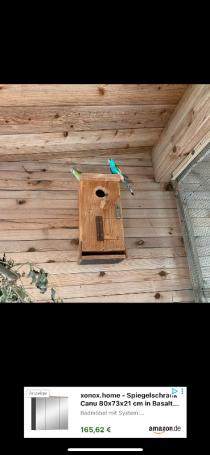 Bild zur Anzeige