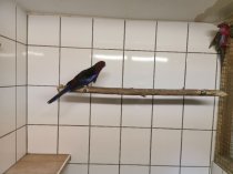 Bild zur Anzeige