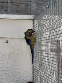 Bild zur Anzeige