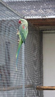 Bild zur Anzeige