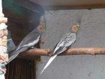 Bild zur Anzeige