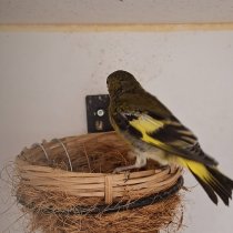 Bild zur Anzeige
