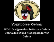 Bild zur Anzeige
