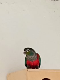 Bild zur Anzeige