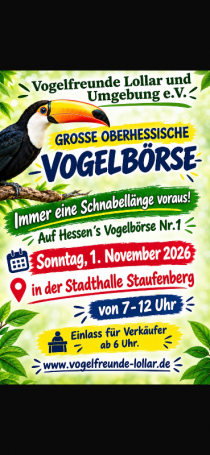 Bild zur Anzeige
