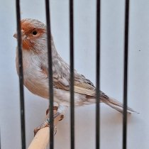 Bild zur Anzeige