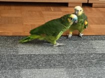 Bild zur Anzeige