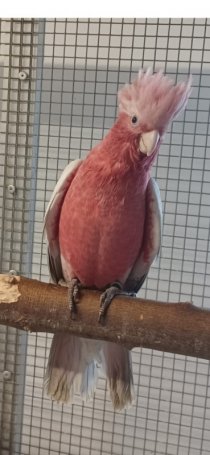 Bild zur Anzeige