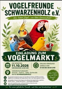 Bild zur Anzeige
