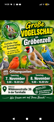 Bild zur Anzeige