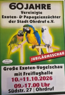 Bild zur Anzeige