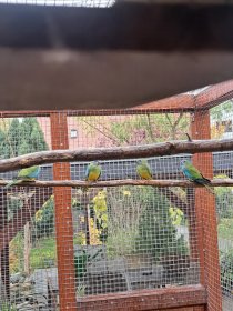 Bild zur Anzeige
