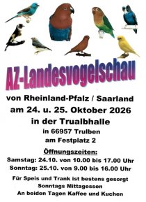 Bild zur Anzeige