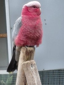 Bild zur Anzeige