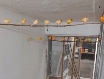 Bild zur Anzeige