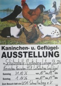 Bild zur Anzeige