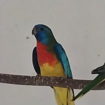 Bild zur Anzeige