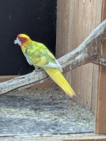 Bild zur Anzeige