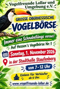 Bild zur Anzeige