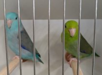 Bild zur Anzeige