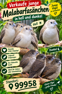 Bild zur Anzeige