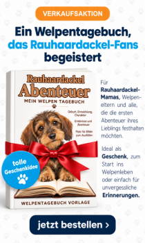 Bild zur Anzeige